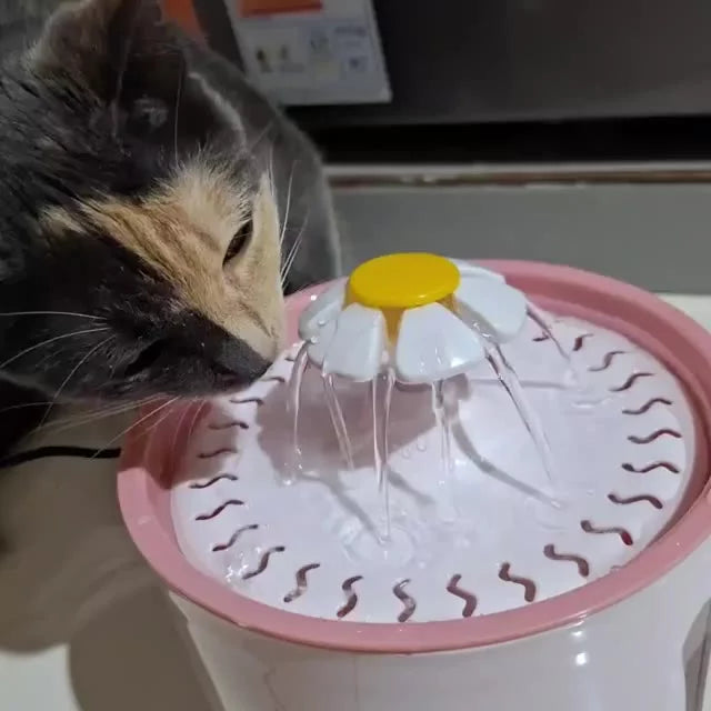 Bebedouro de Água Corrente 2L Automático Ideal para Gatos Cães e Outros Pets